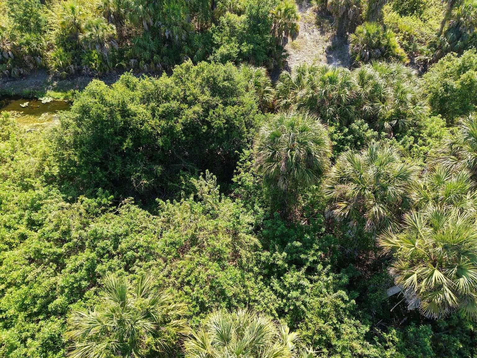 View of a narrow water channel; waterbody type and access details are unverified. - 60 DENVER DR, PORT CHARLOTTE