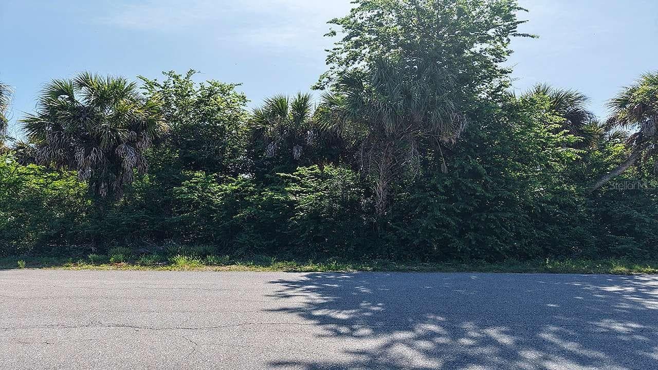 Street-level view of the lot. - 60 DENVER DR, PORT CHARLOTTE