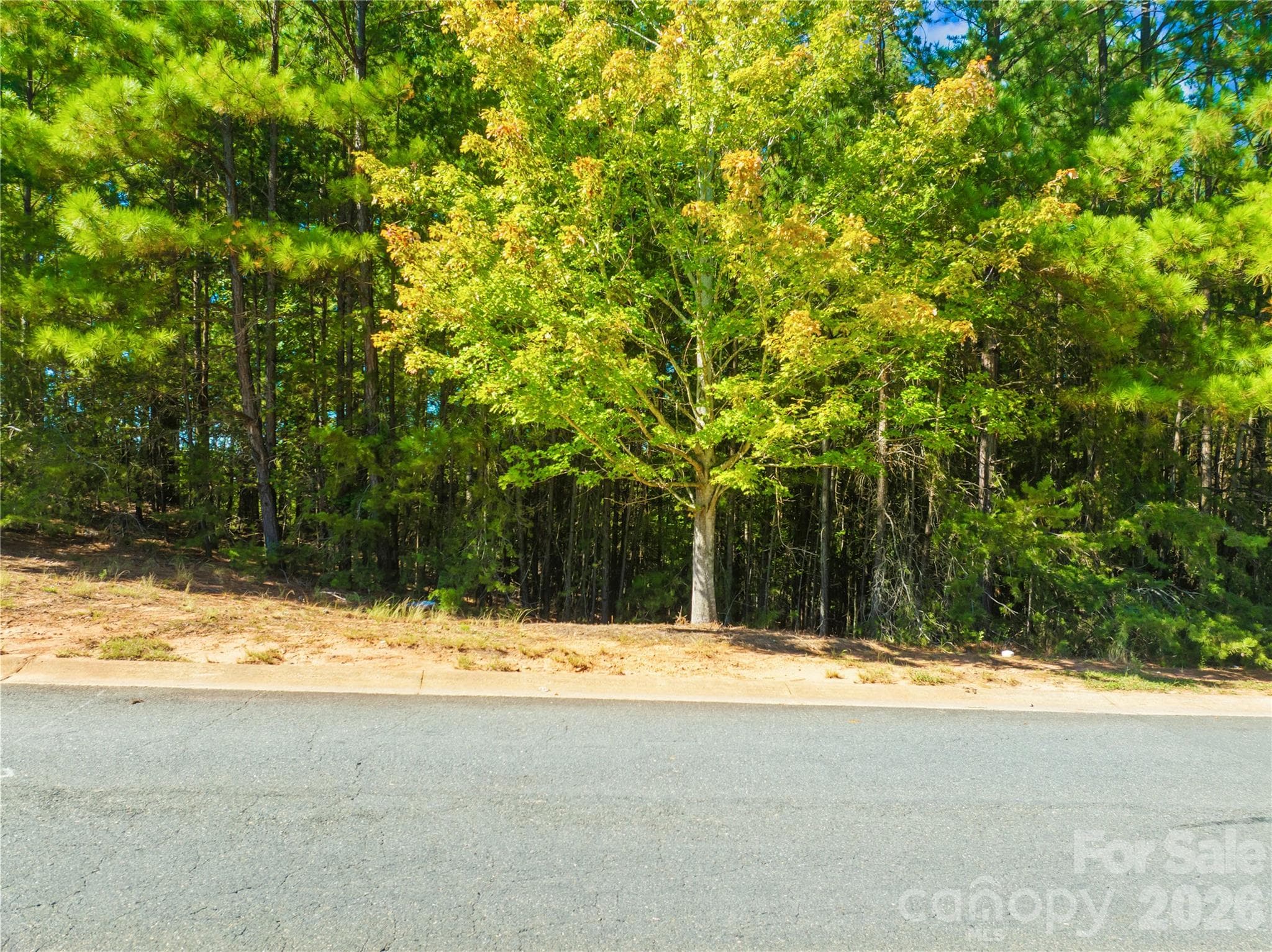 Lot at 1312 Reflection Pointe Boulevard, Belmont, photo 29 of 33