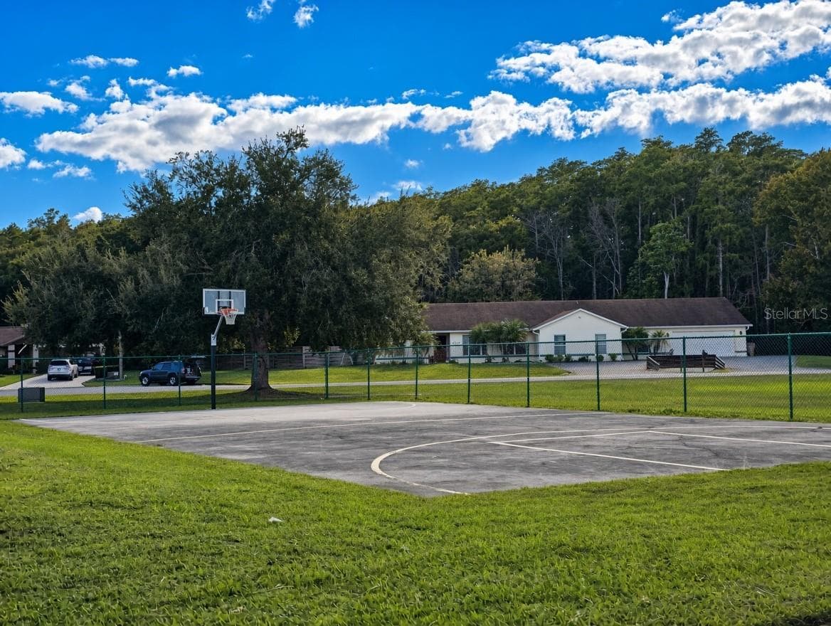 Community basketball - 2529 CONIFER CT, KISSIMMEE