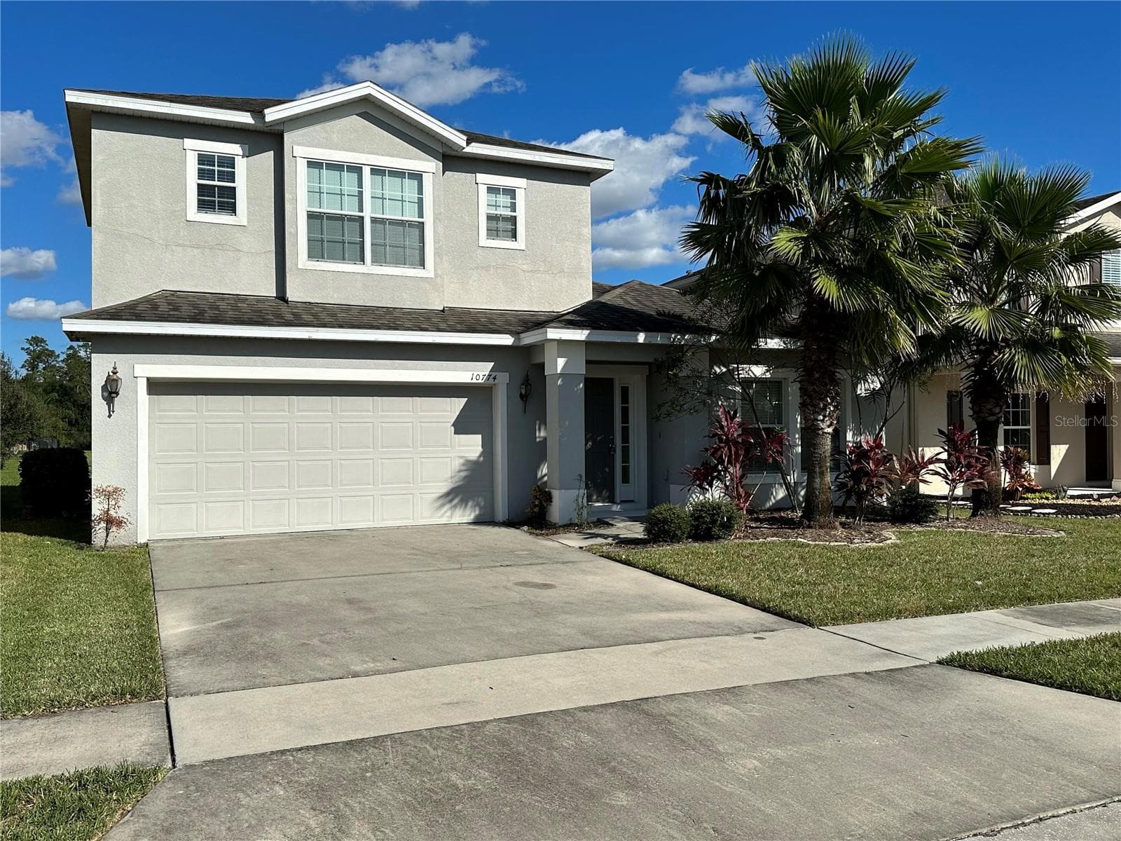 10774 CABBAGE TREE LOOP