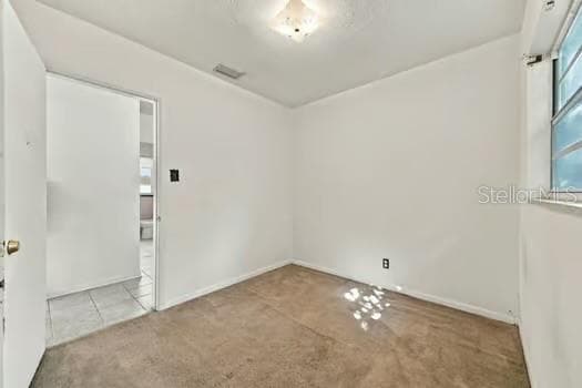 Bedroom 1 - 4028 WARING DR, TAMPA