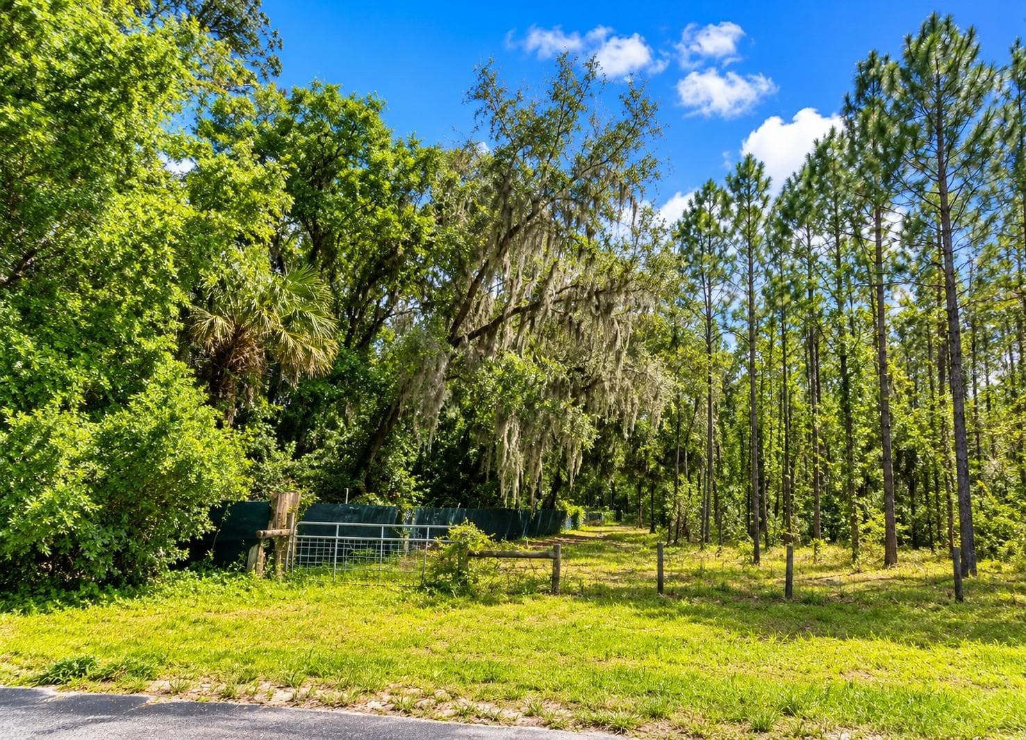 Land at 000 CR 309, SATSUMA, photo 2 of 6