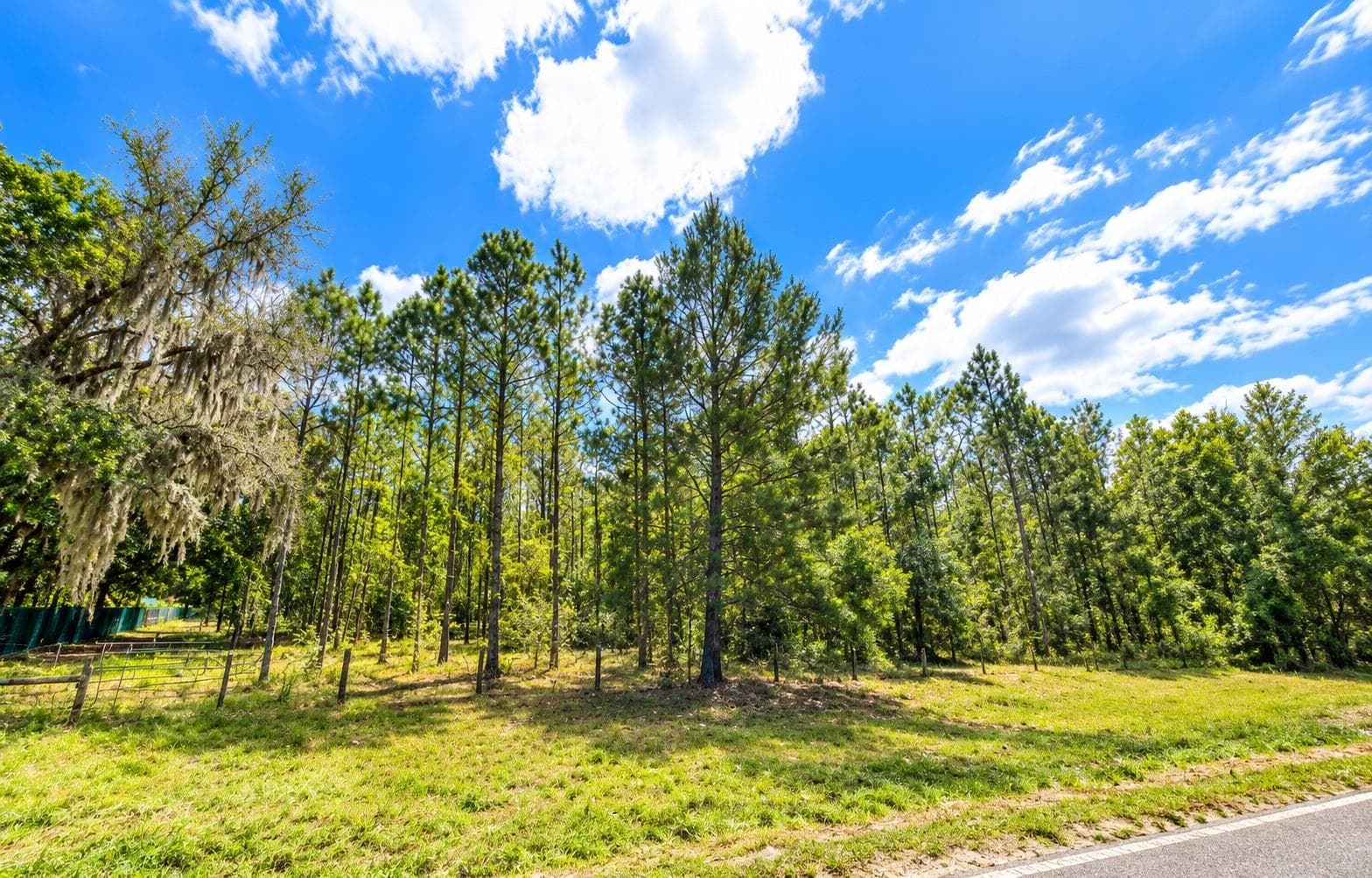 Land at 000 CR 309, SATSUMA, photo 3 of 6