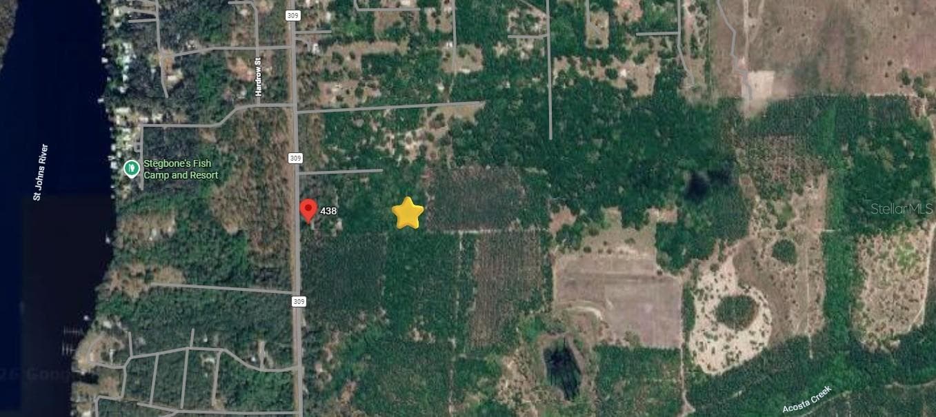 Land at 000 CR 309, SATSUMA, photo 4 of 6