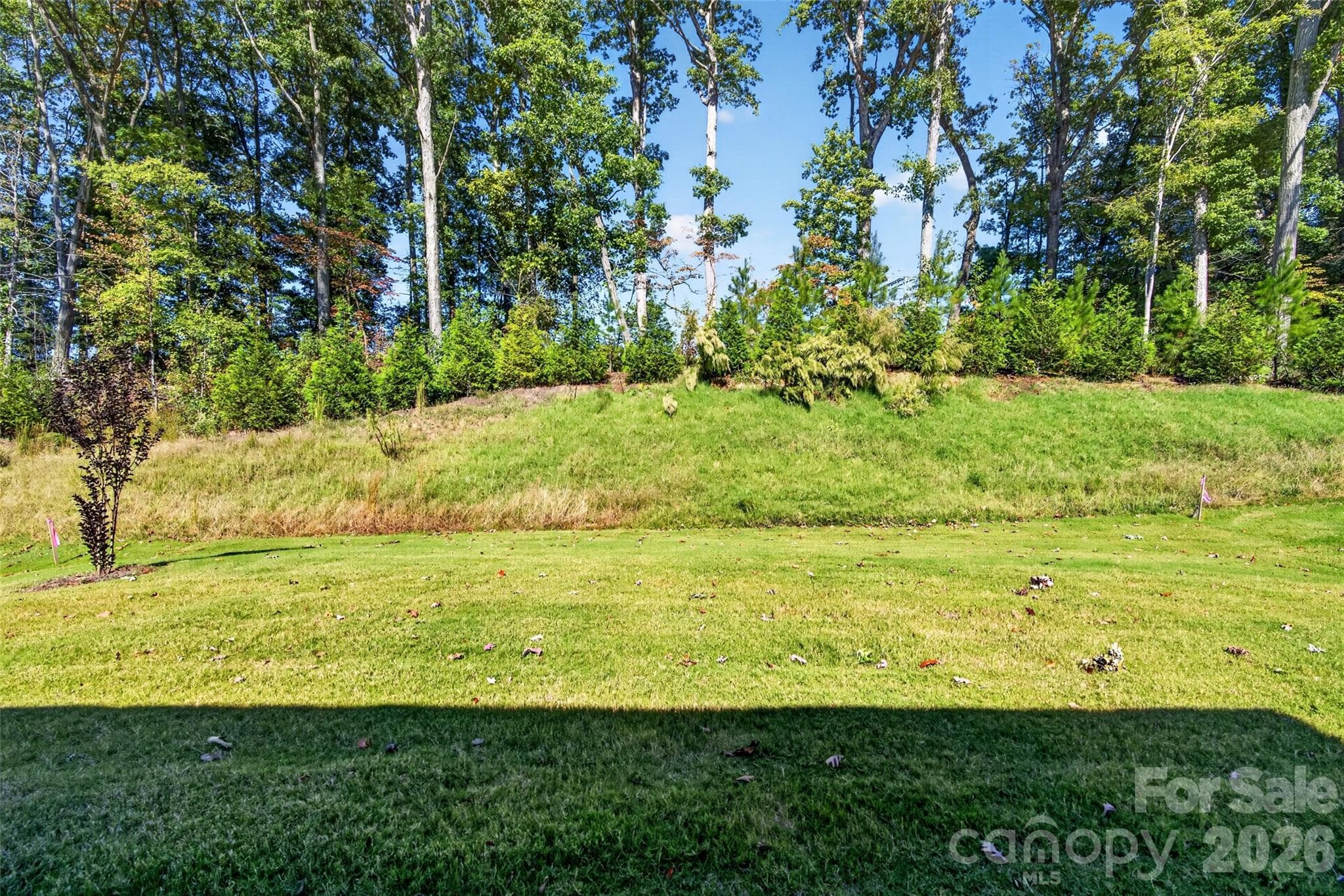 Rear yard with no home behind - 13413 Cozy Court, Charlotte