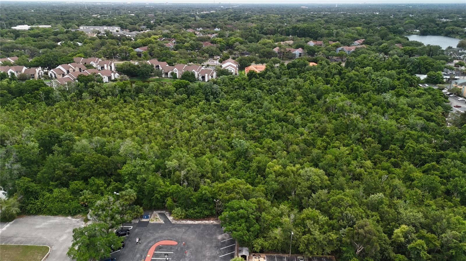 Land at N DALE MARBY HWY, TAMPA, photo 2 of 7
