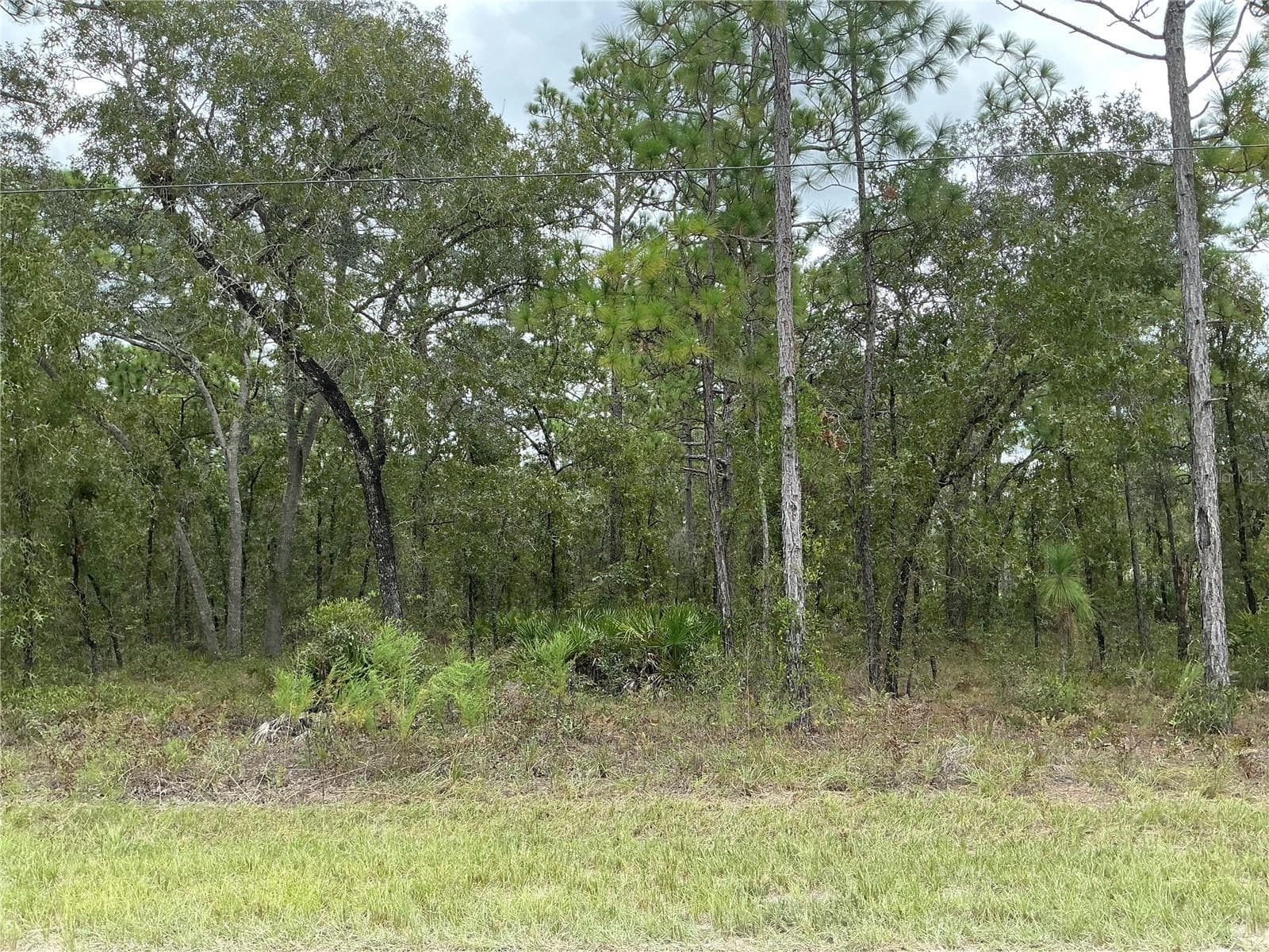 16118 MARSH QUAIL RD