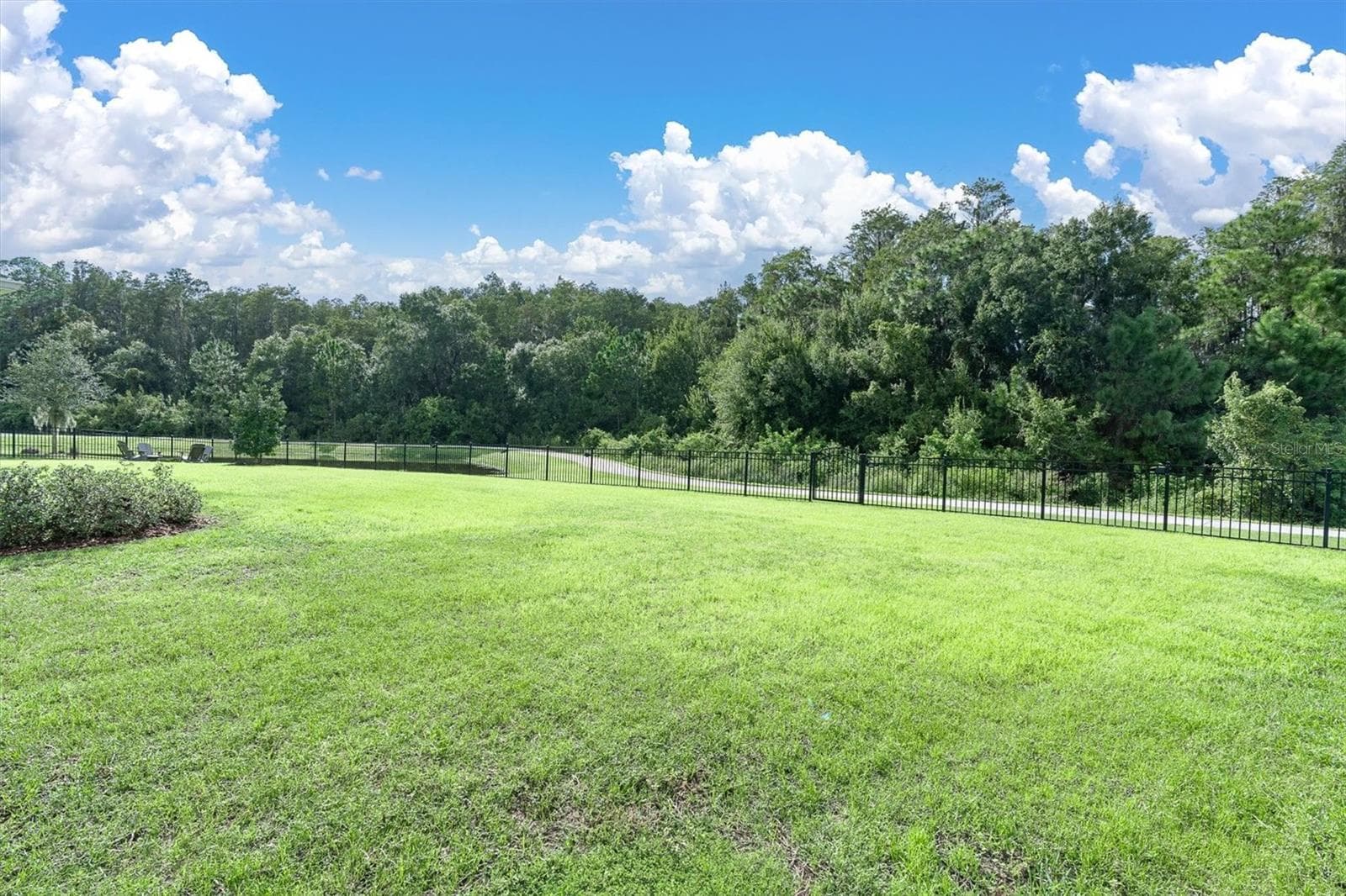 Expansive Fenced Lawn Area - 13627 STANSIL AVE, ODESSA