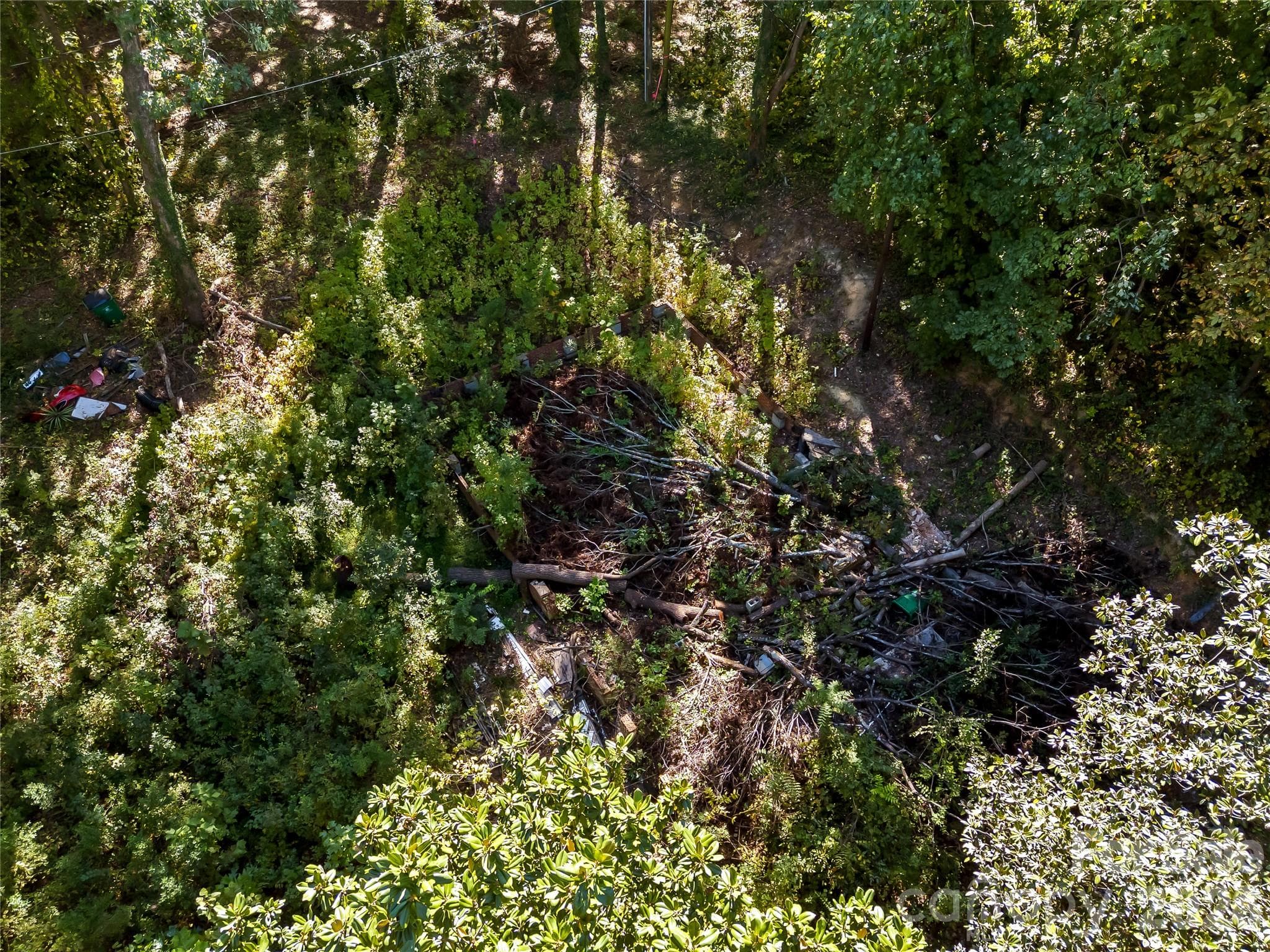 Lot at 805 Holland Avenue, Charlotte, photo 6 of 22
