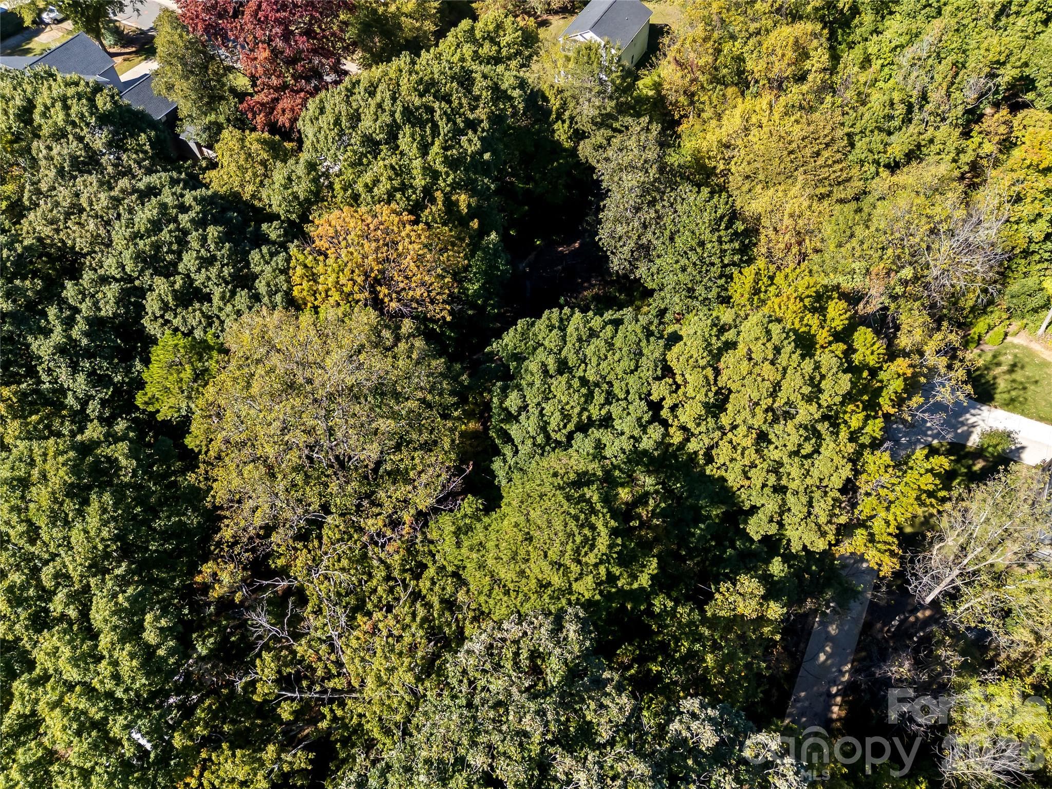 Lot at 805 Holland Avenue, Charlotte, photo 8 of 22