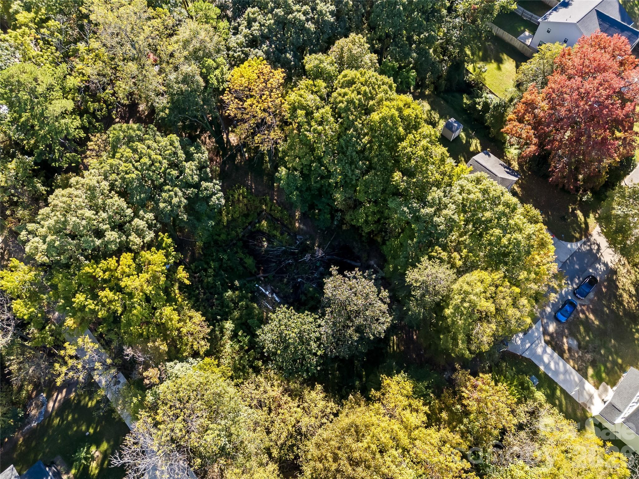 Lot at 805 Holland Avenue, Charlotte, photo 13 of 22