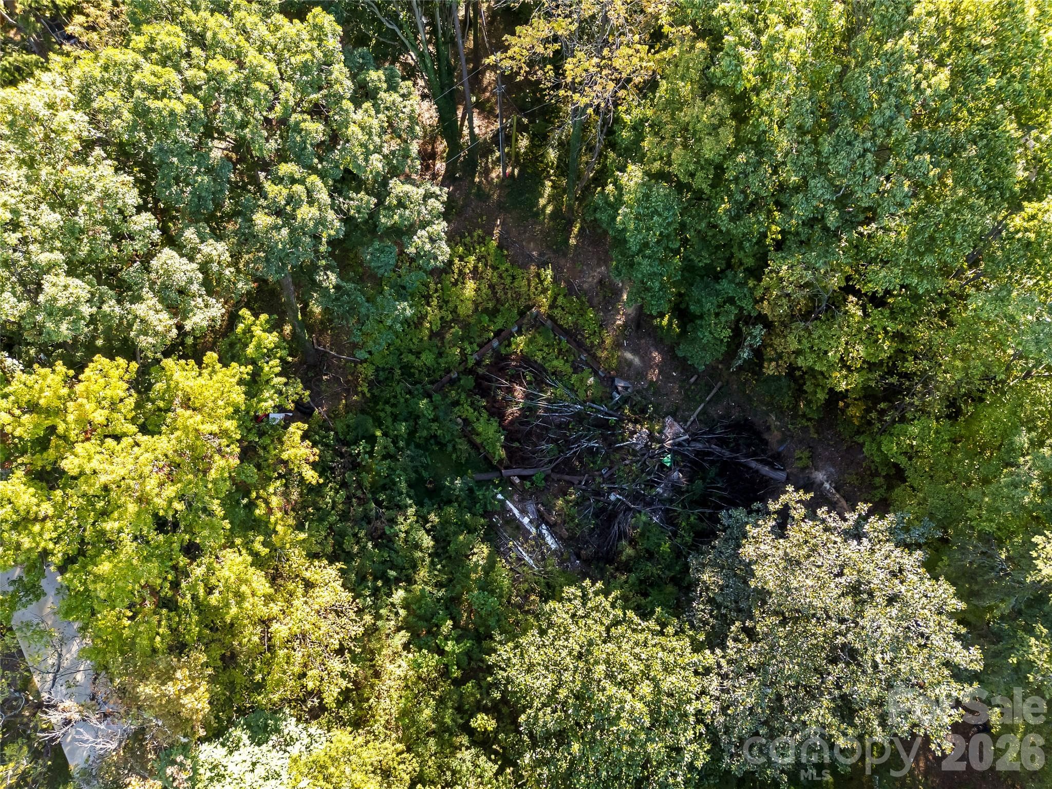 Lot at 805 Holland Avenue, Charlotte, photo 16 of 22