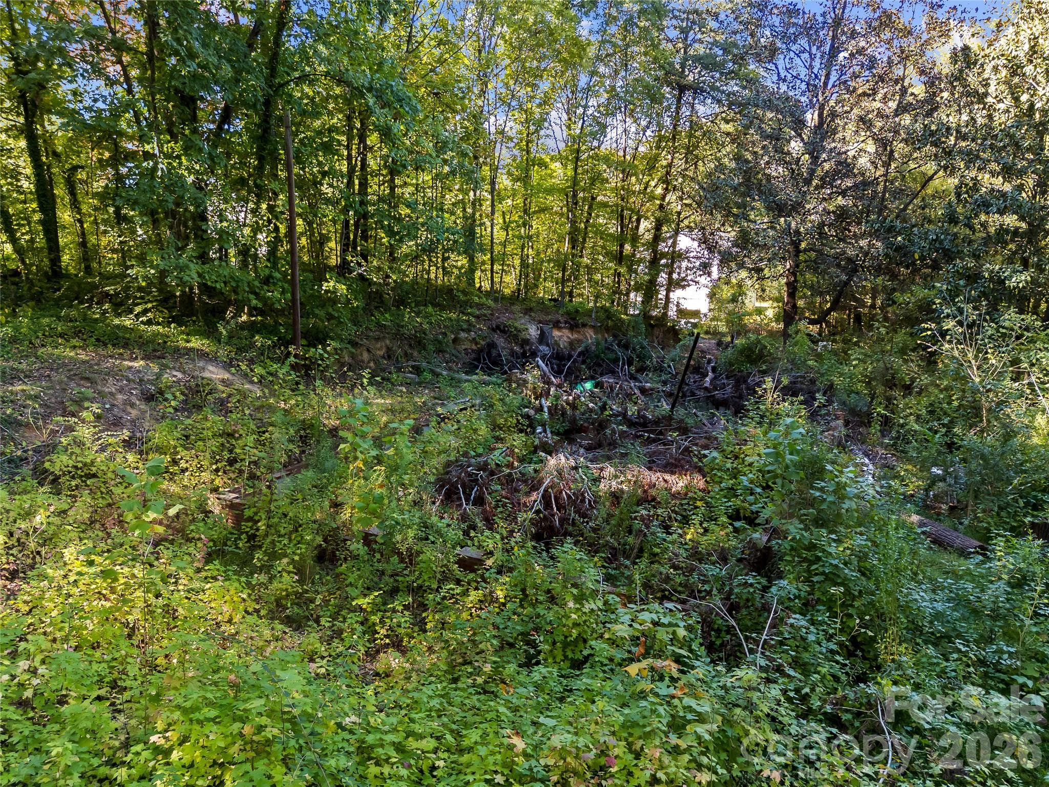 Lot at 805 Holland Avenue, Charlotte, photo 21 of 22