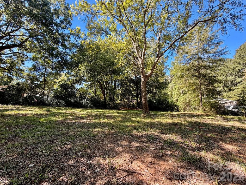 Lot at 1013 Neely Store Road, Rock Hill, photo 10 of 19
