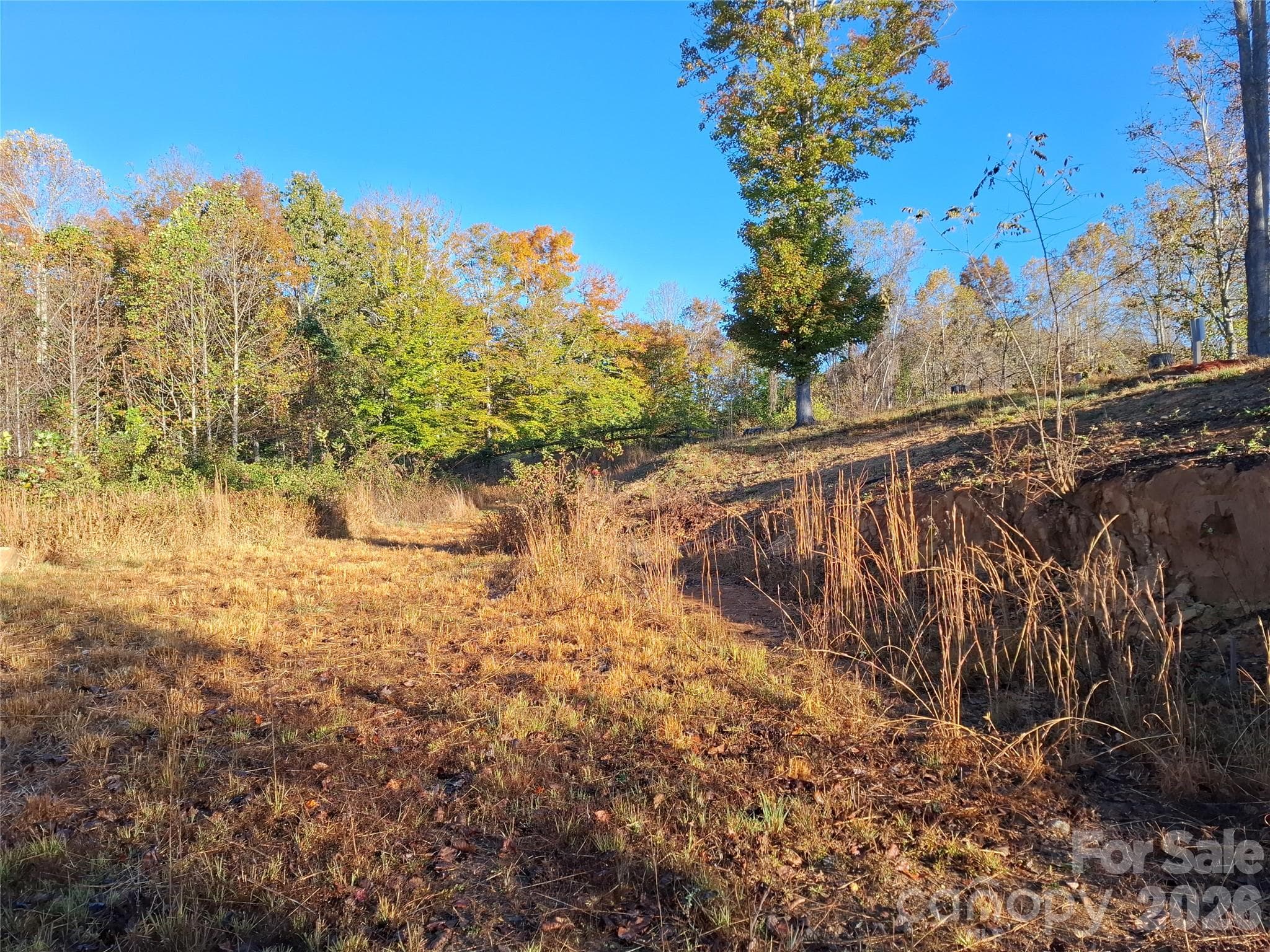 Lot at 1 River Crest, Burnsville, photo 9 of 34