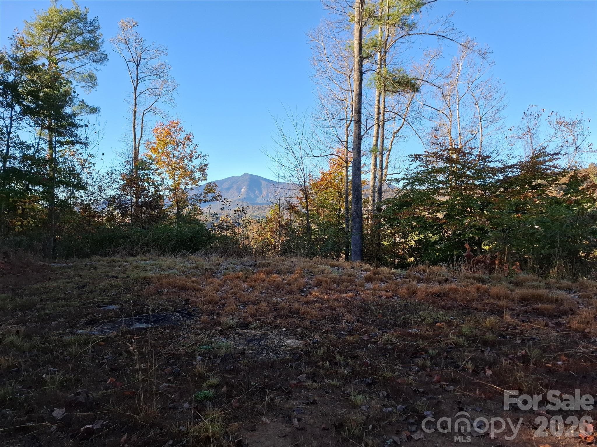 Lot at 1 River Crest, Burnsville, photo 10 of 34