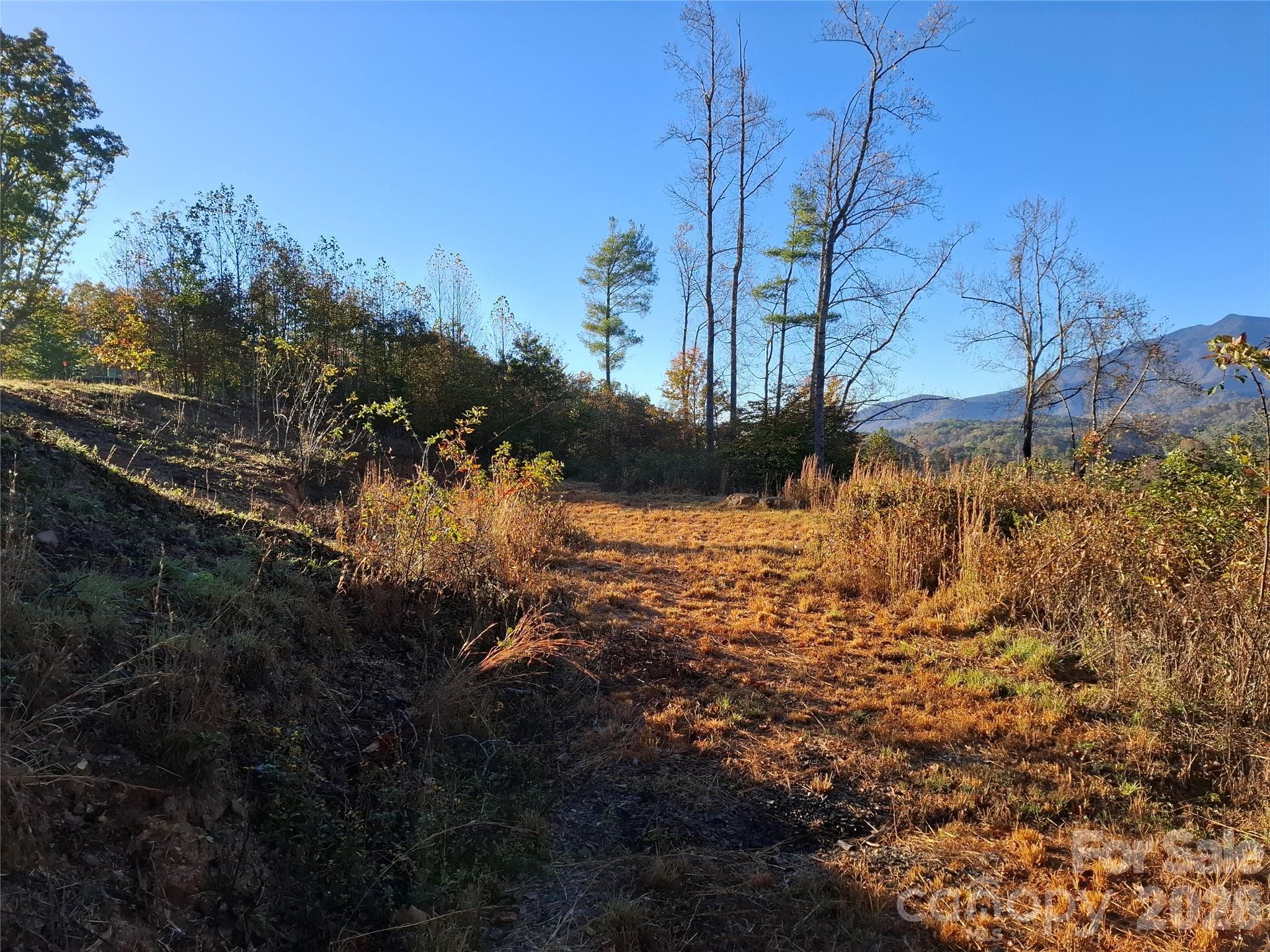 Lot at 1 River Crest, Burnsville, photo 12 of 34