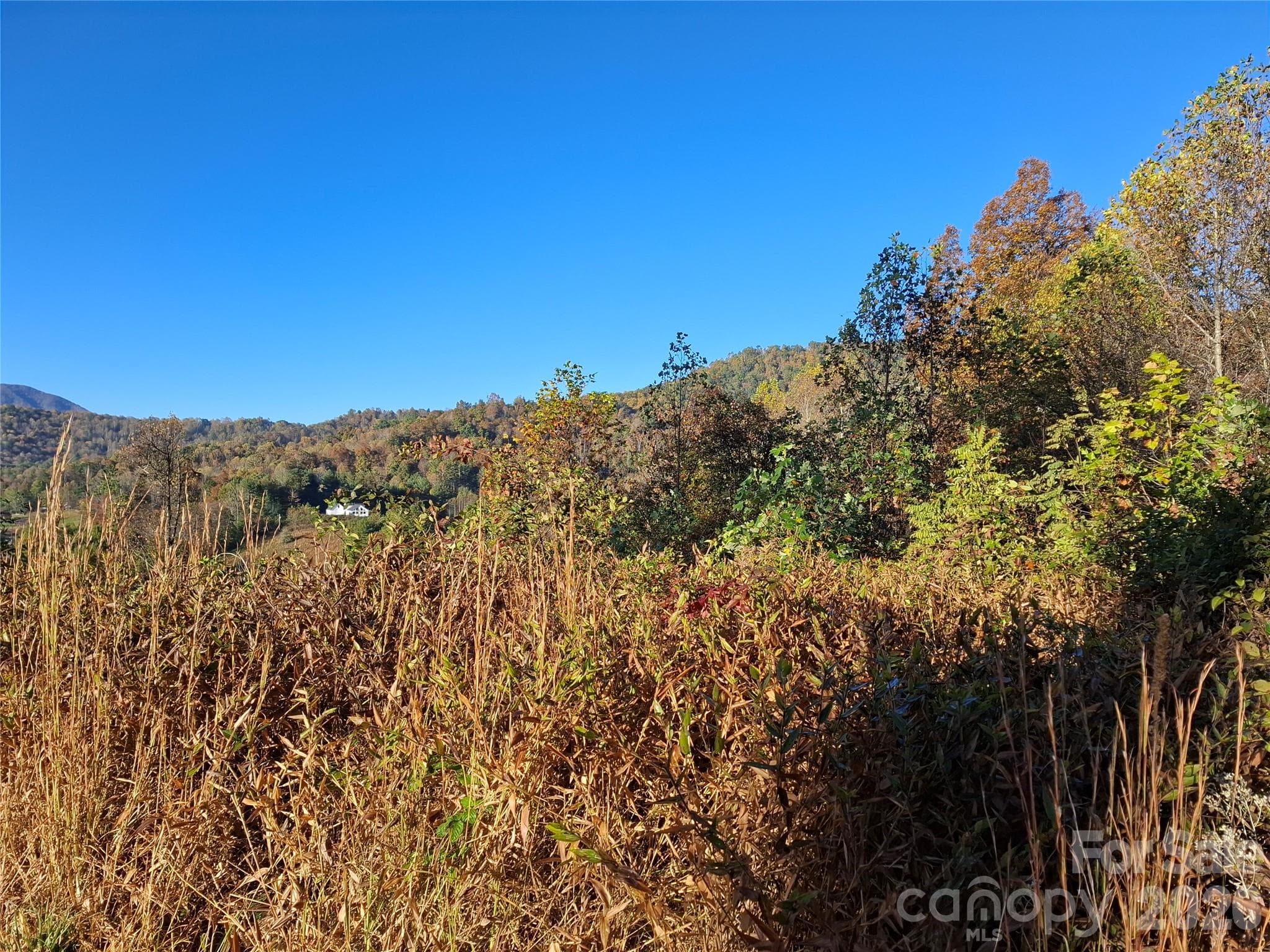 Lot at 1 River Crest, Burnsville, photo 15 of 34