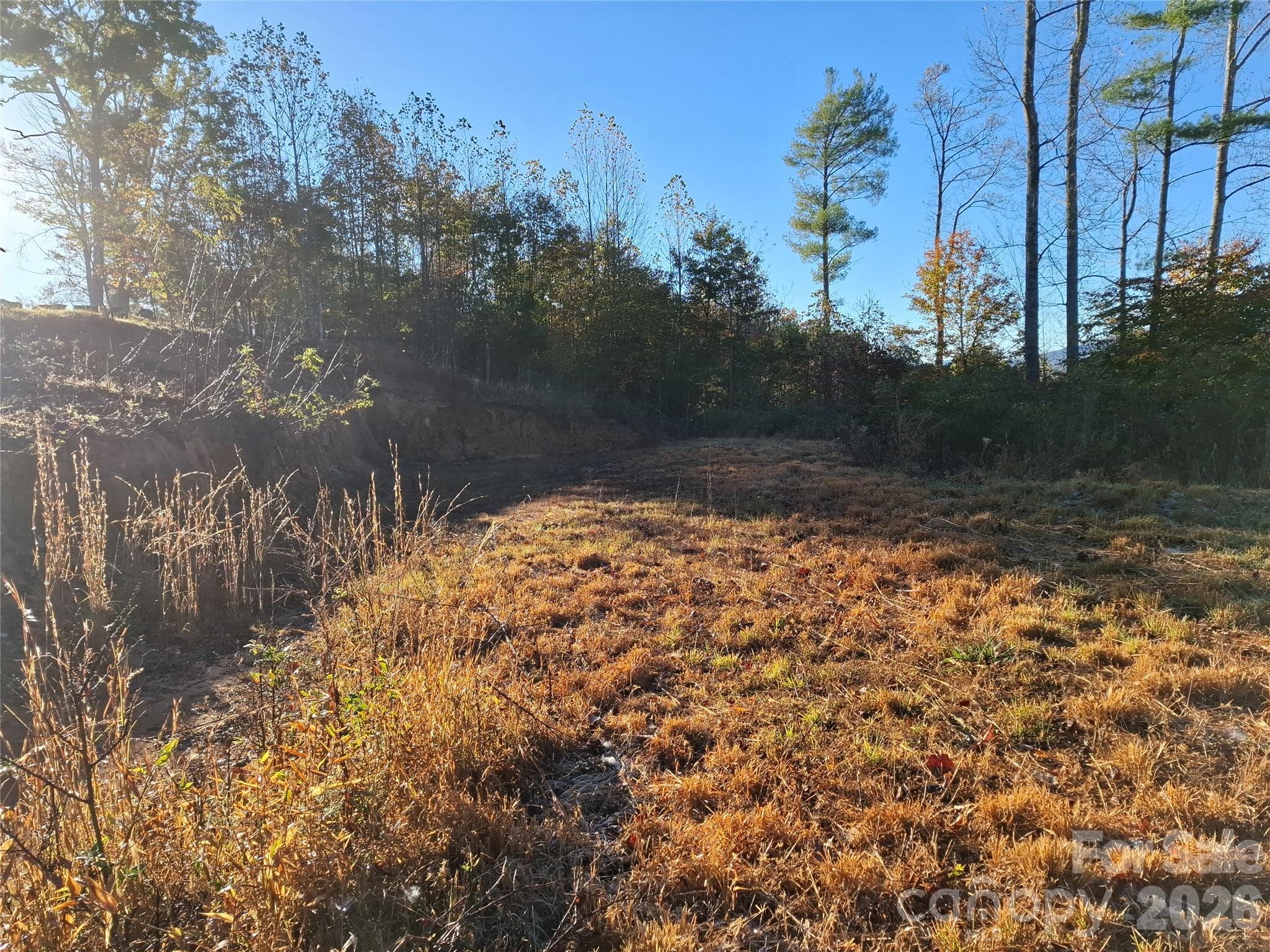 Lot at 1 River Crest, Burnsville, photo 17 of 34