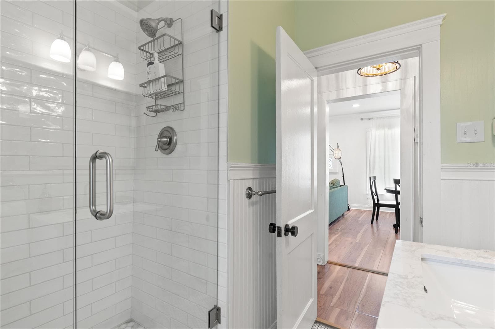 Guest Bathroom 1 - 324 W HAYA ST, TAMPA