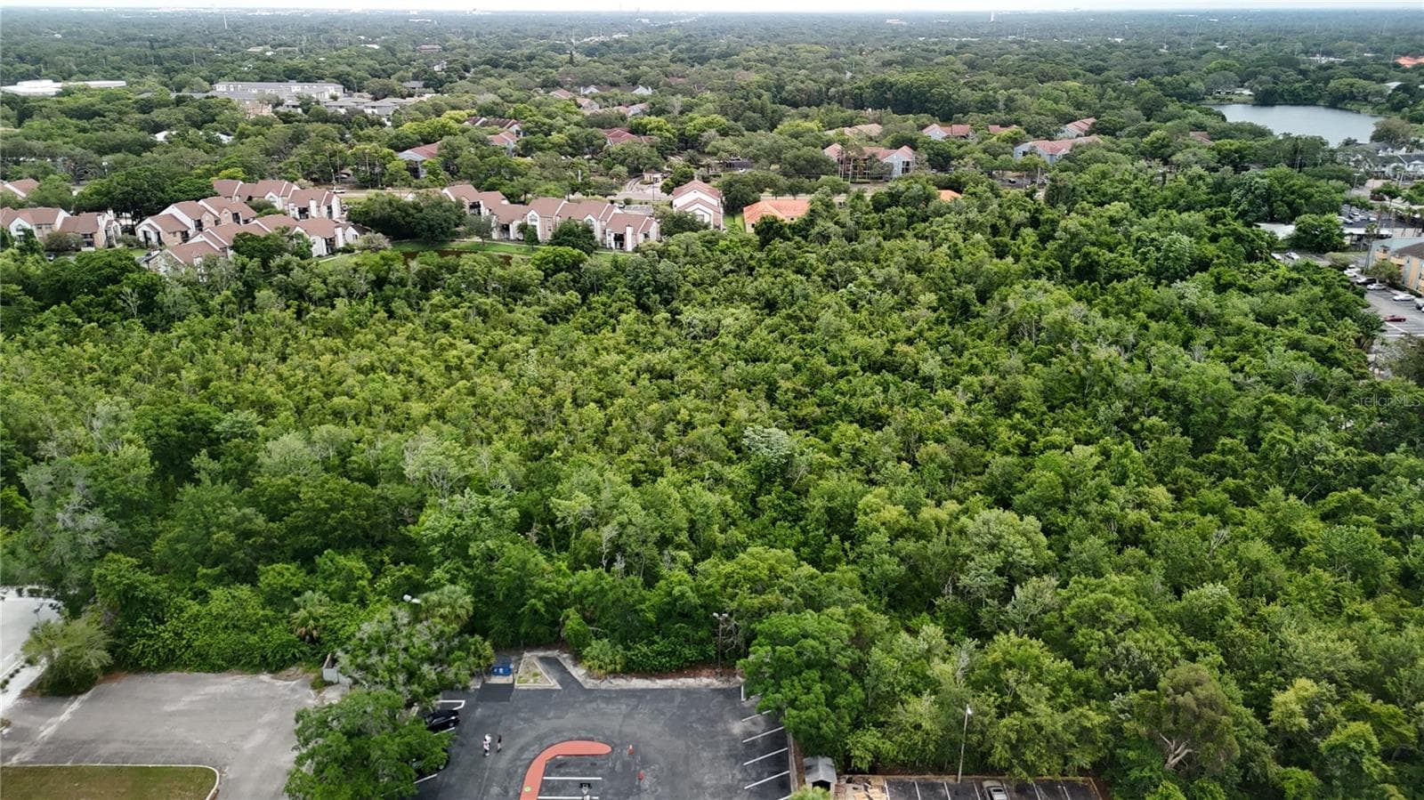 Land at N DALE MARBY HWY, TAMPA, photo 3 of 7
