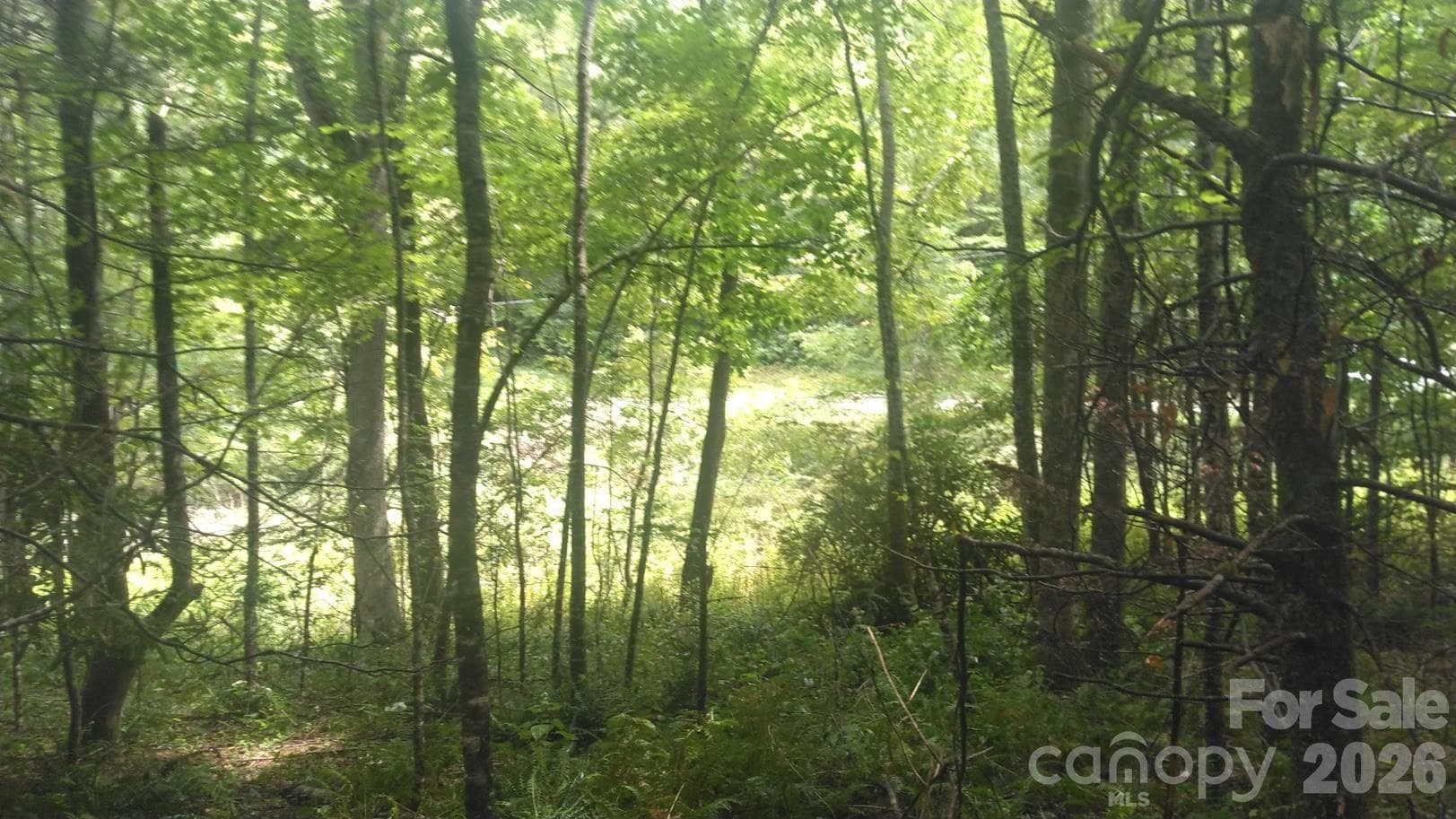 Lot at 7360 NC 183 Highway, Newland, photo 4 of 17
