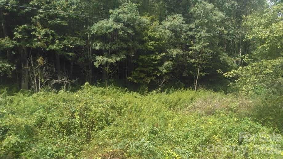 Lot at 7360 NC 183 Highway, Newland, photo 6 of 17