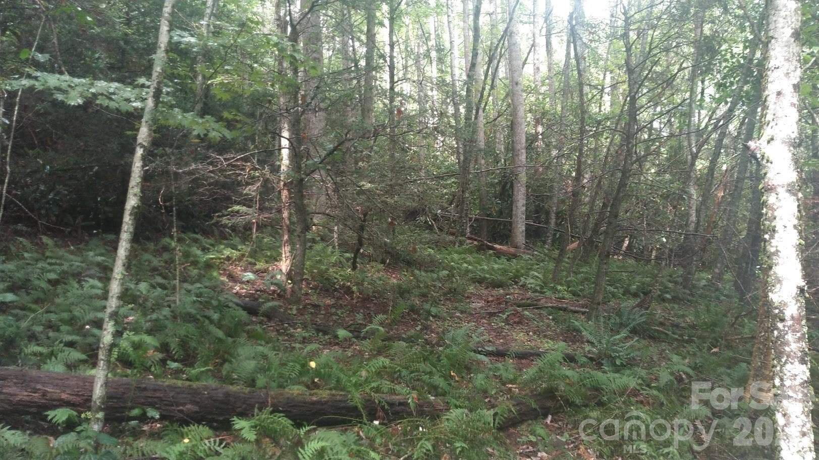 Lot at 7360 NC 183 Highway, Newland, photo 8 of 17