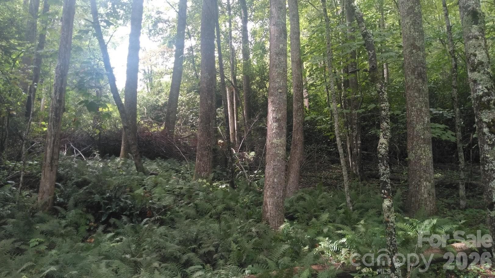 Lot at 7360 NC 183 Highway, Newland, photo 9 of 17