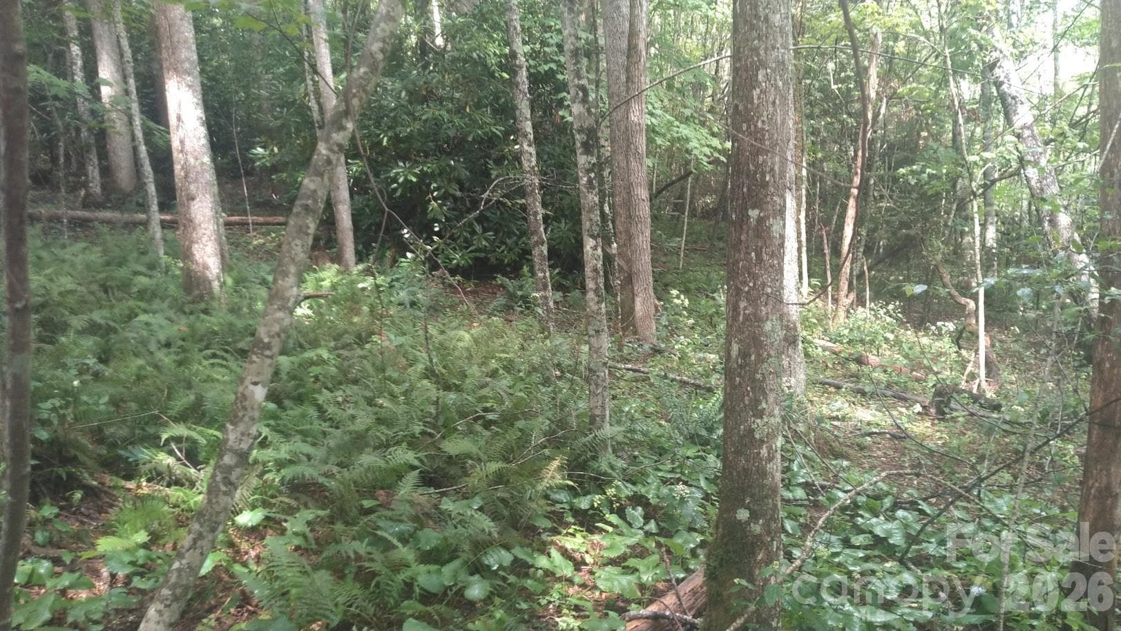 Lot at 7360 NC 183 Highway, Newland, photo 10 of 17