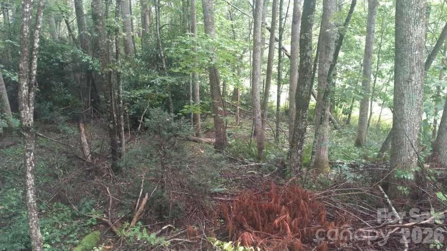 Lot at 7360 NC 183 Highway, Newland, photo 15 of 17