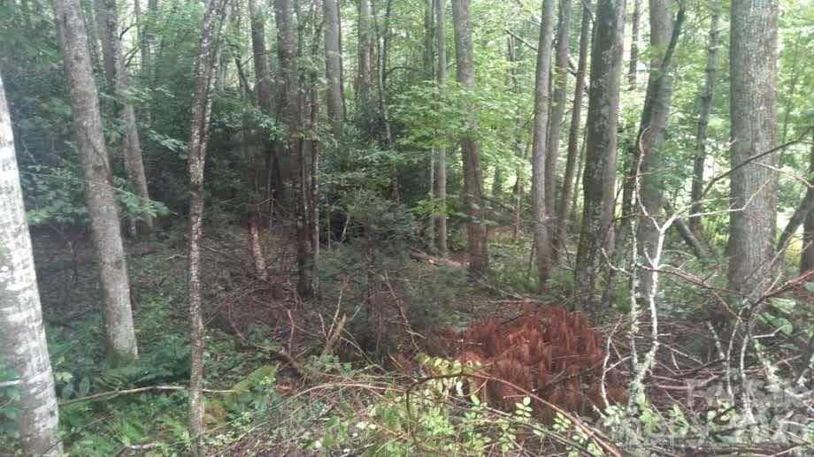 Lot at 7360 NC 183 Highway, Newland, photo 16 of 17