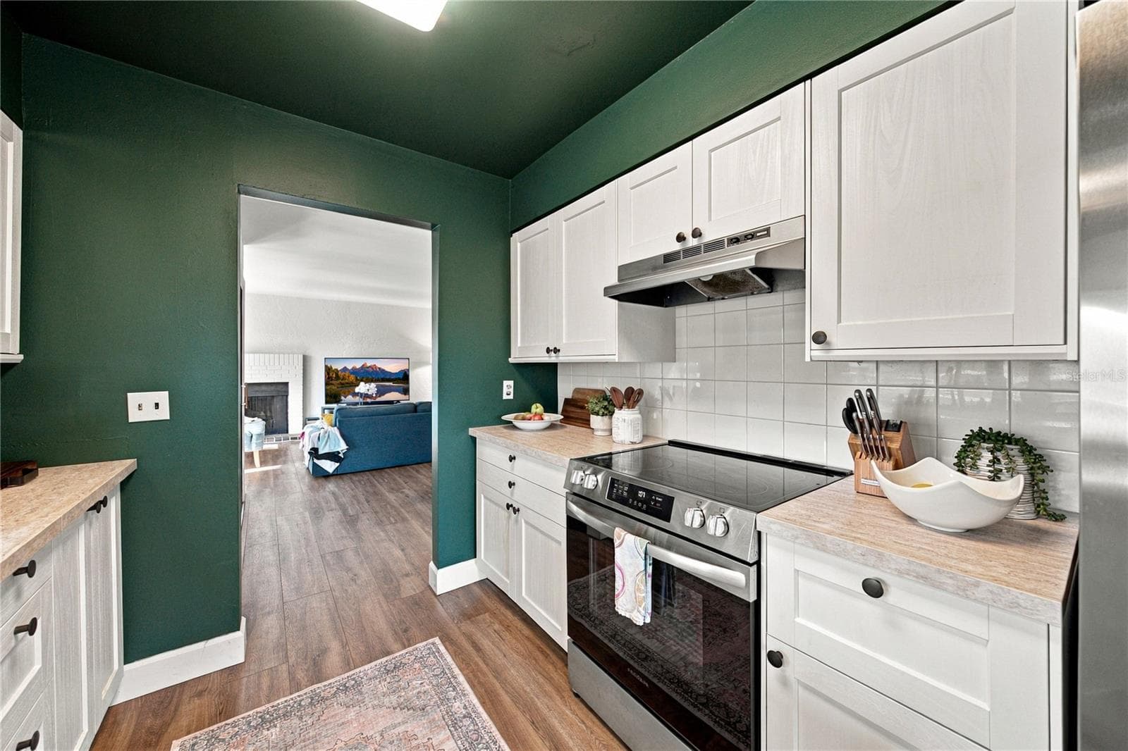 Remodeled Kitchen with All NEW Cabinets, NEW Countertops, NEW Appliances and Fixtures! - 4106 PINELAKE LN #101, TAMPA