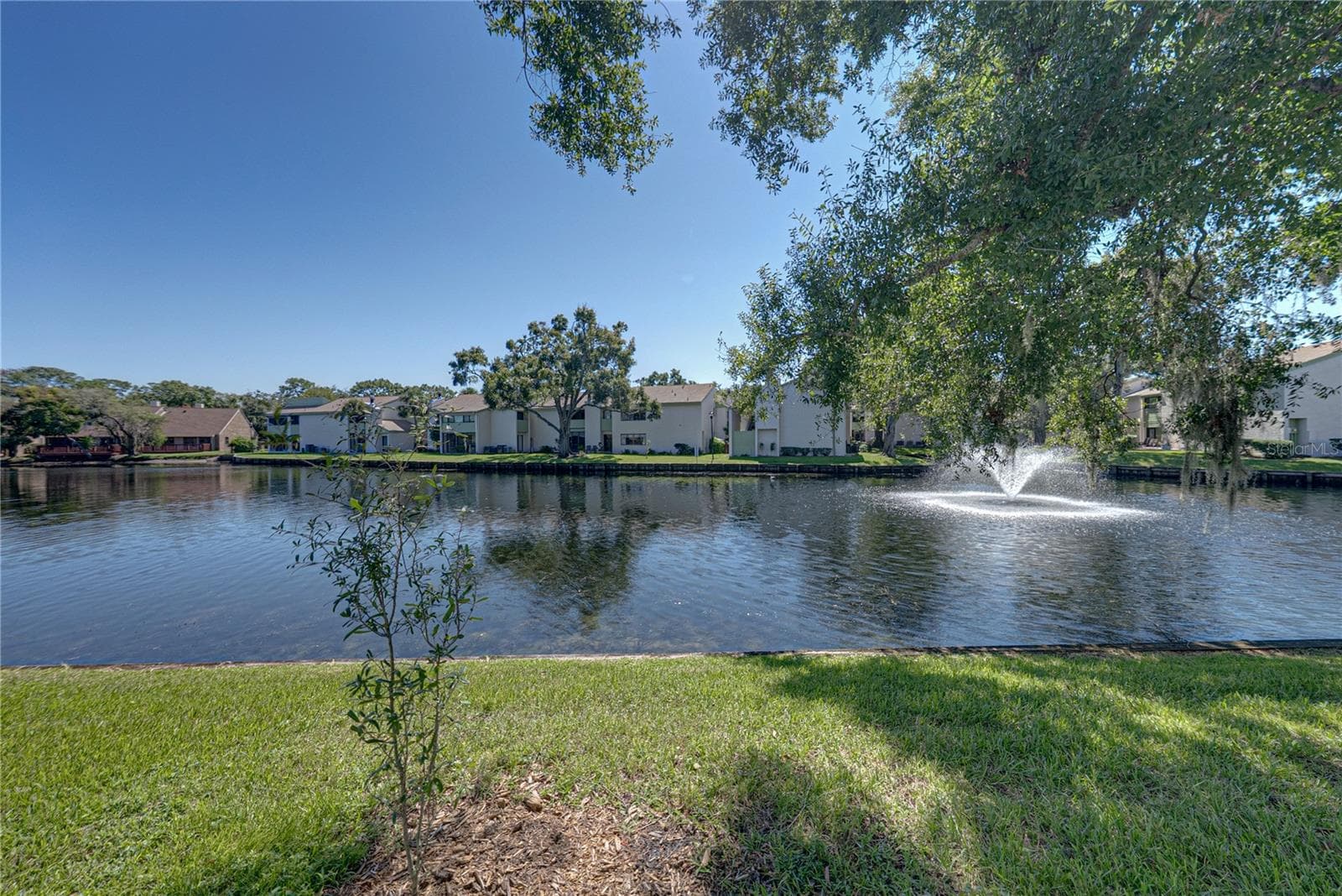 View From Unit - 4106 PINELAKE LN #101, TAMPA
