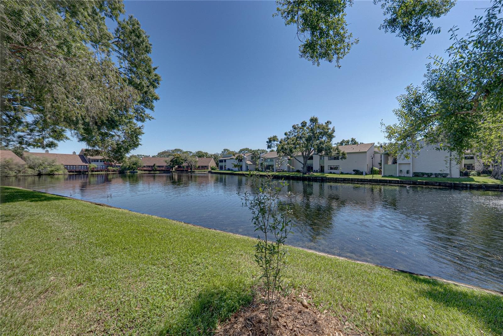 View from Unit - 4106 PINELAKE LN #101, TAMPA