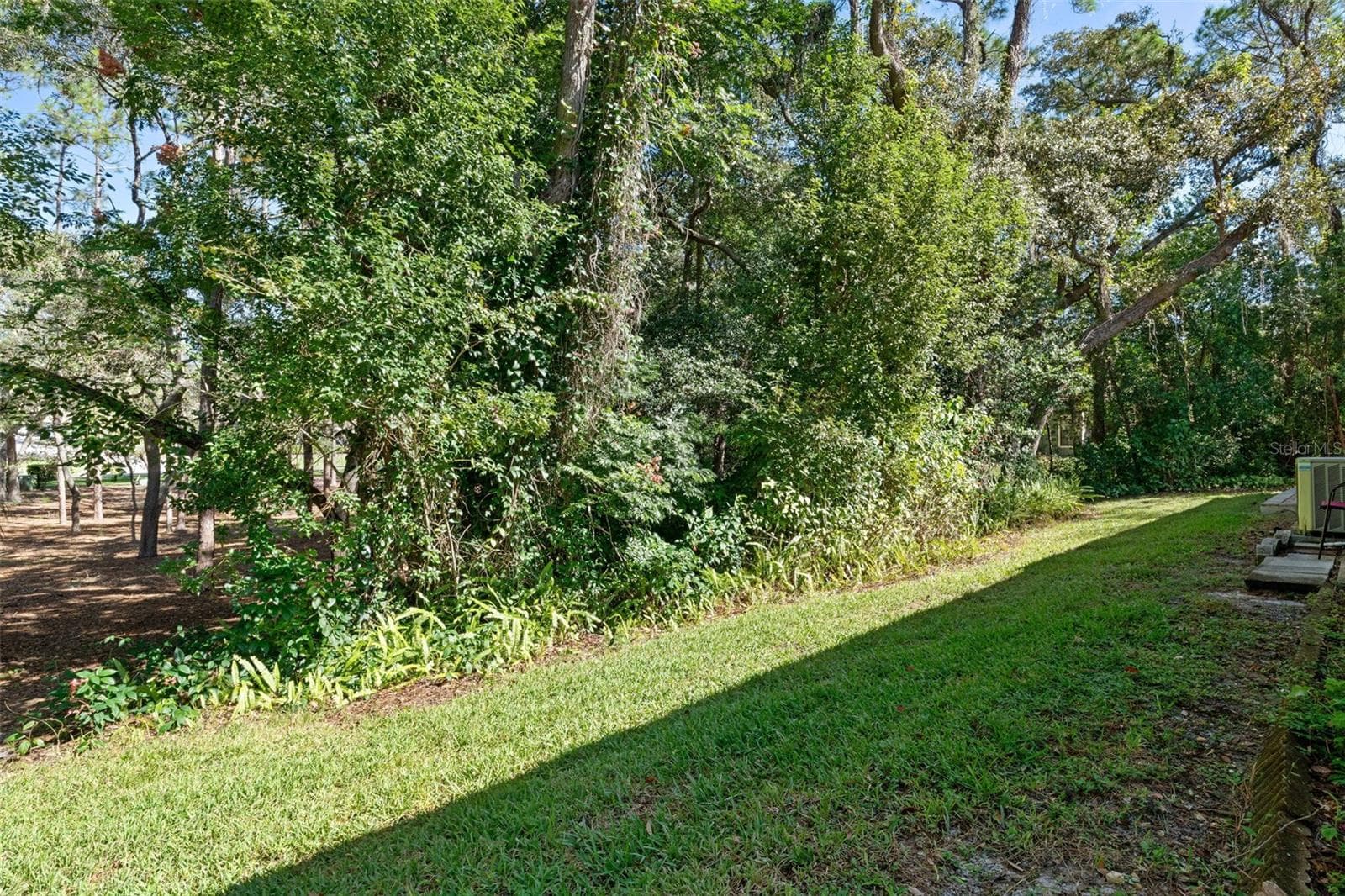 Villa at 6466 NATURE PRESERVE LN, SPRING HILL, photo 35 of 83