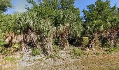 Land at 7371 TREADWAY RD, PORT CHARLOTTE, photo 5 of 5