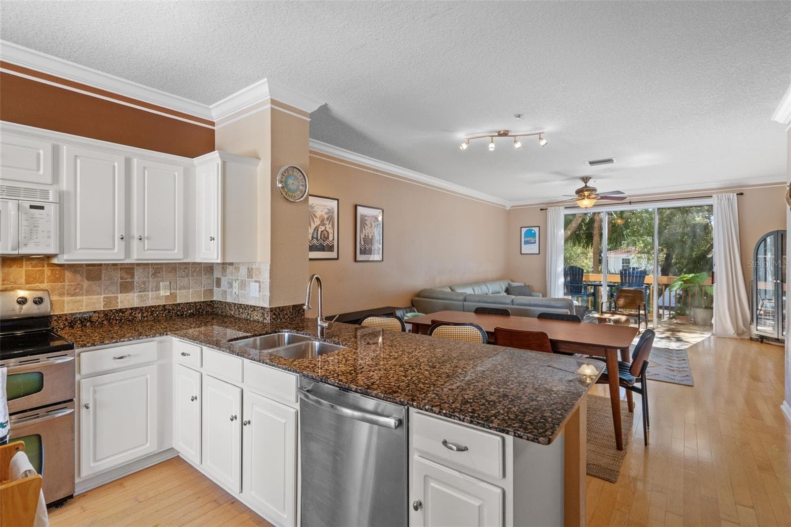 Kitchen and living area - 3181 BAYSHORE OAKS DR, TAMPA