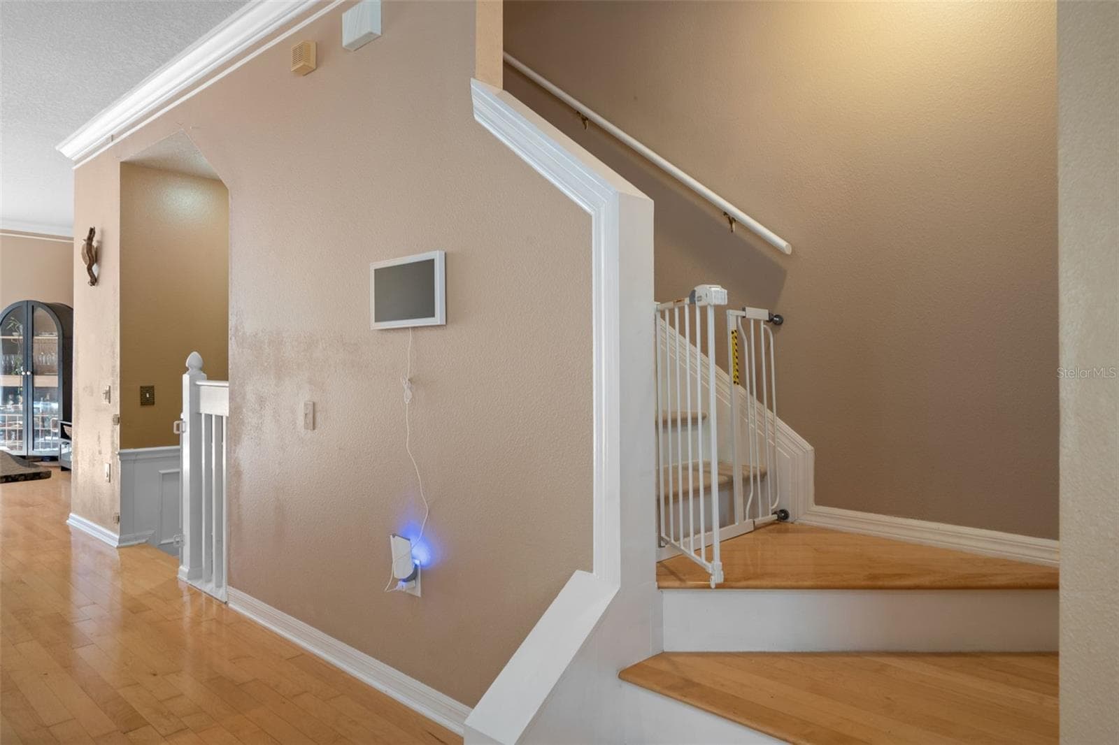 Staircase to upper 3rd floor - 3181 BAYSHORE OAKS DR, TAMPA