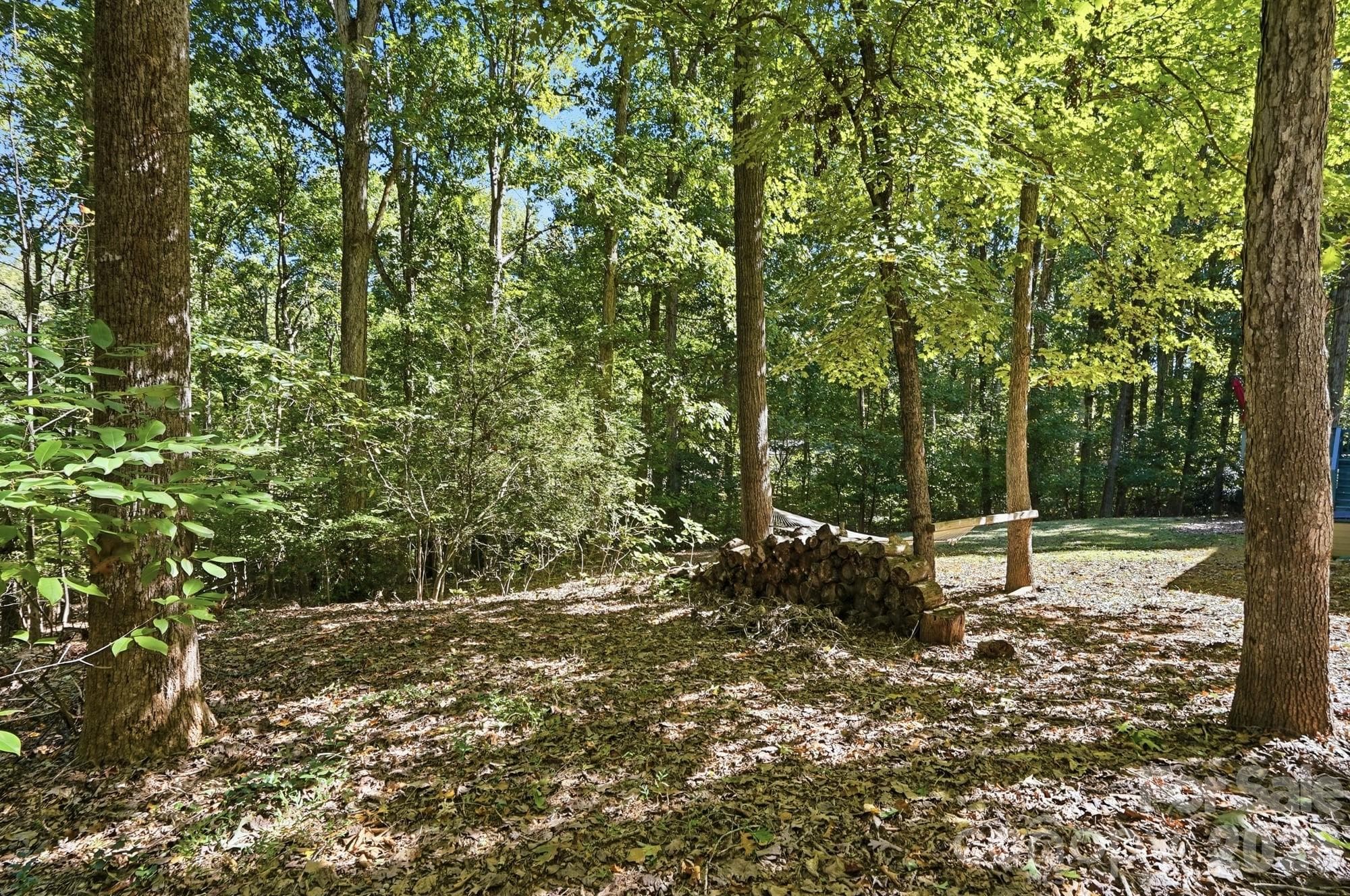 Backyard Oasis - 8610 Lochinvar Drive, Charlotte