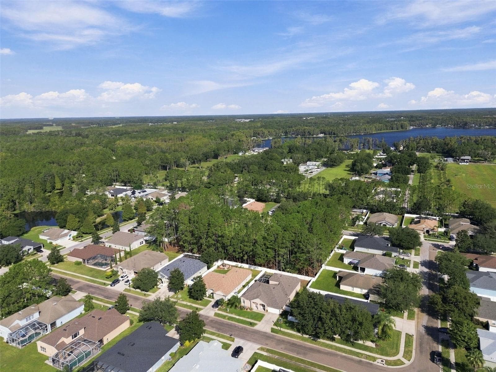 Single Family Residence at 20827 WOODVALE LN, LAND O LAKES, photo 91 of 97