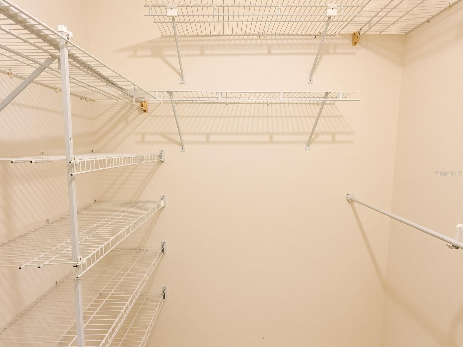 Primary Walk-In Closet - 1125 MONTROSE PL, DUNEDIN