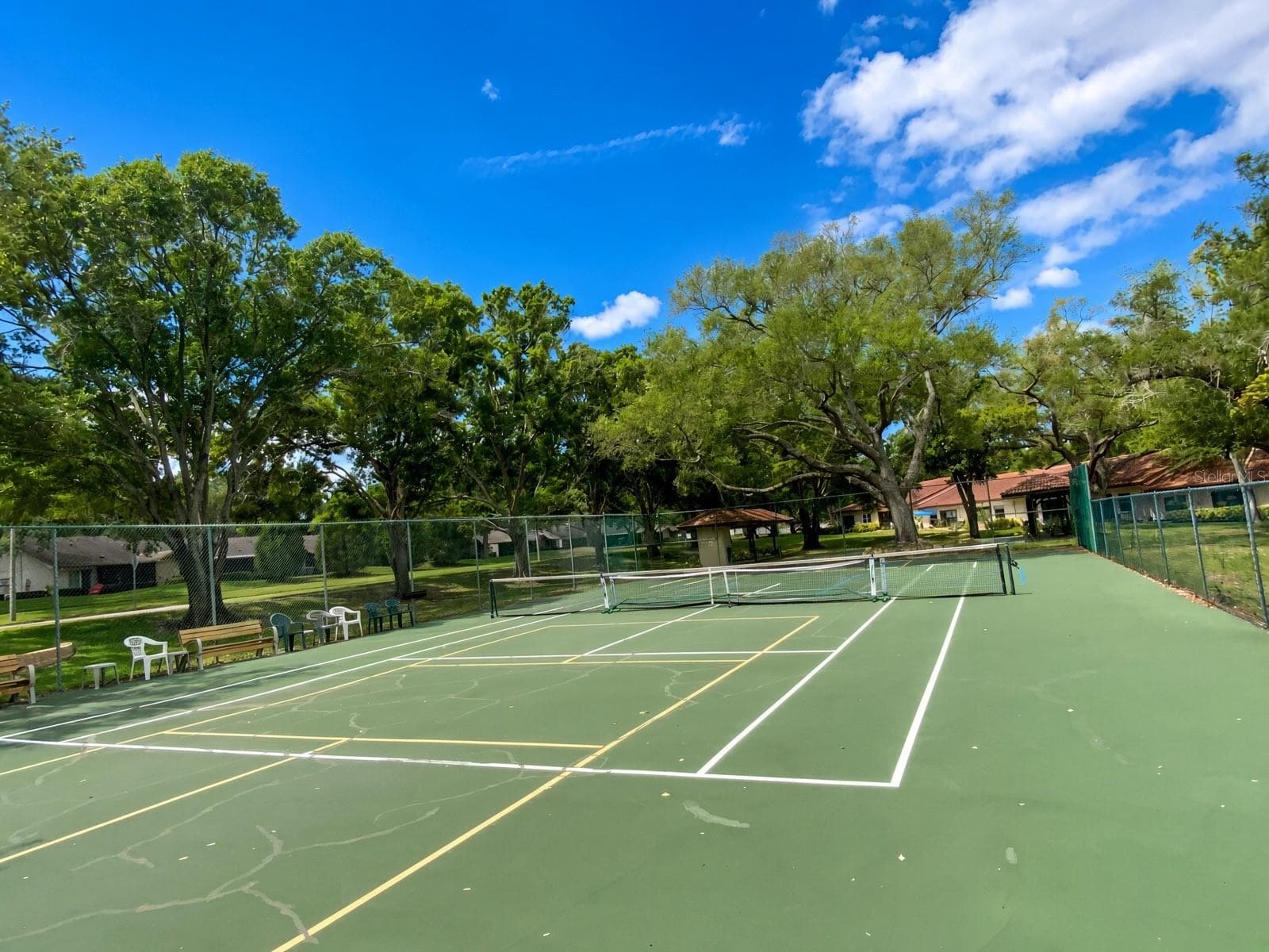 Tennis/Pickleball Court - 1125 MONTROSE PL, DUNEDIN