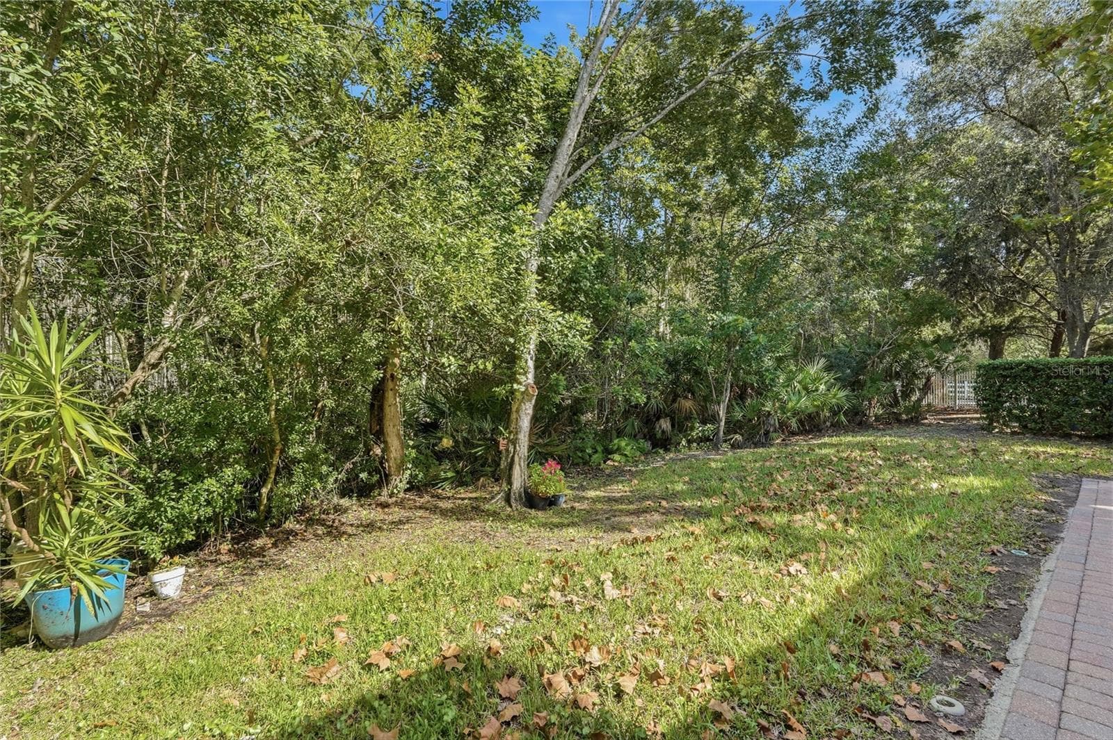 Back Yard View - 7323 GABERIA RD, NEW PORT RICHEY
