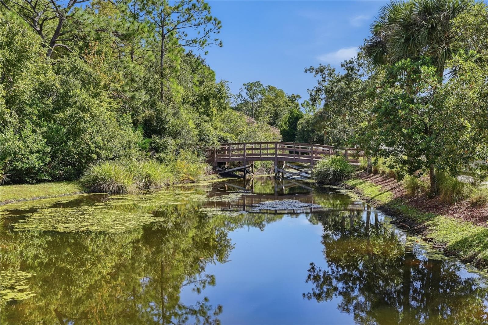 Board Walk - Trail - 7323 GABERIA RD, NEW PORT RICHEY