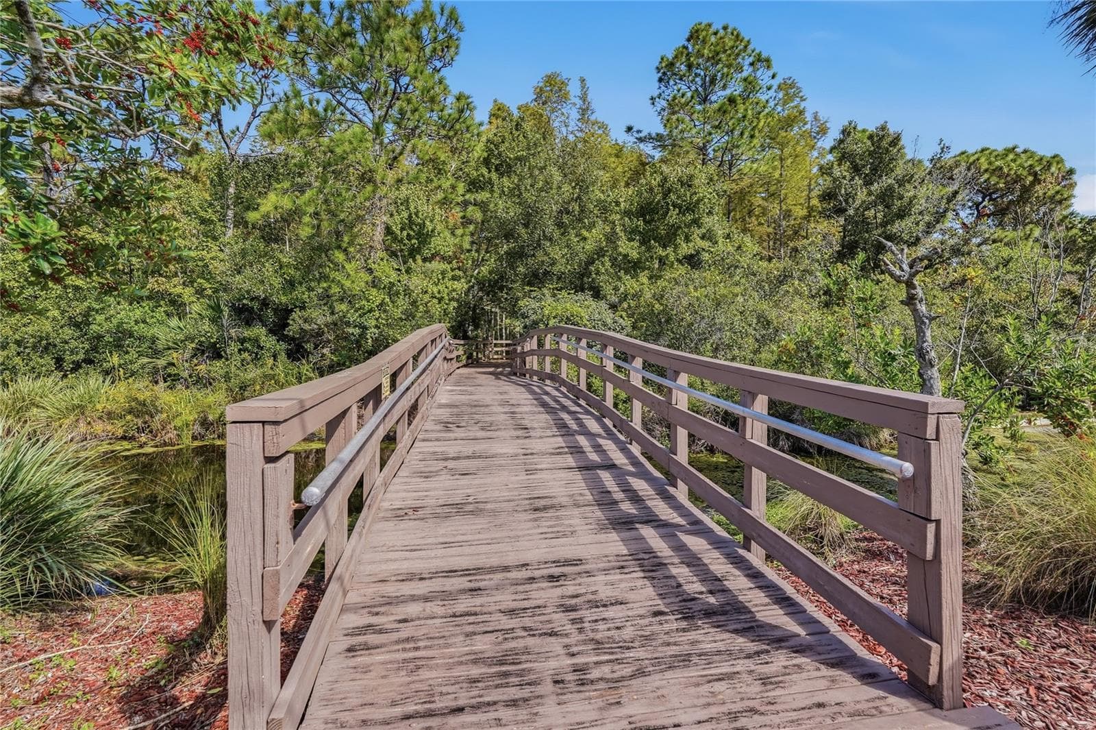 Board Walk - Trail - 7323 GABERIA RD, NEW PORT RICHEY