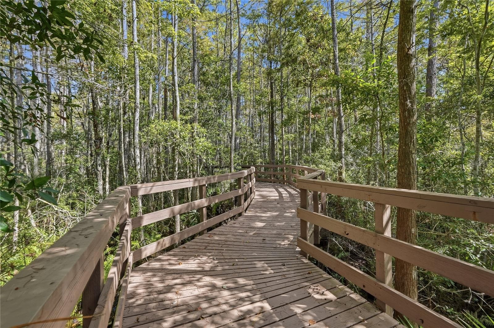 Board Walk - Trail - 7323 GABERIA RD, NEW PORT RICHEY