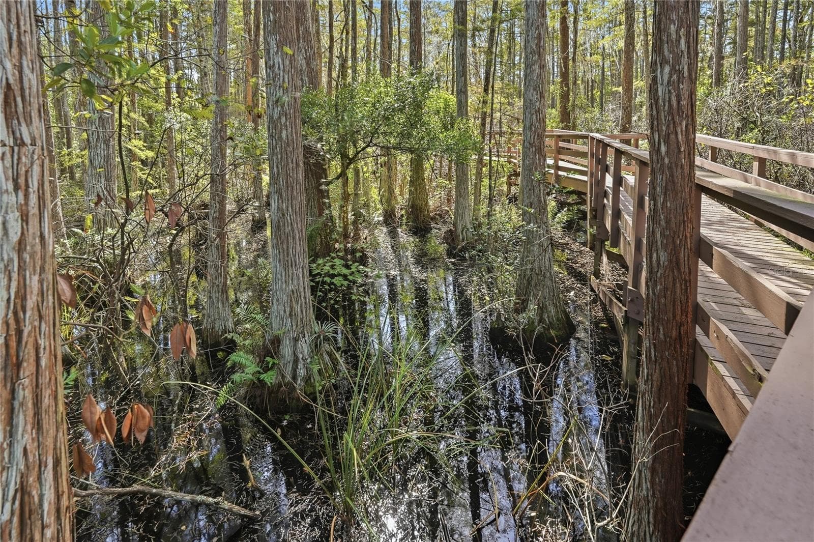 Board Walk - Trail - 7323 GABERIA RD, NEW PORT RICHEY