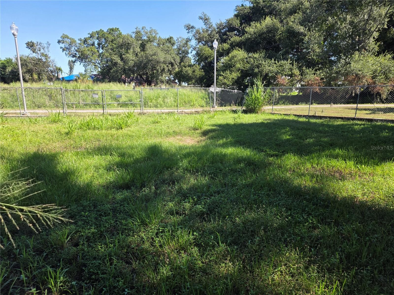 Spacious Front Yard - 210 12TH ST W, PALMETTO